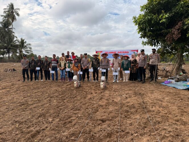 
					Polsek Cerenti Pimpin Penanaman Jagung Pipil di Desa Sikakak, Dukung Ketahanan Pangan dan Asta Cita Presiden