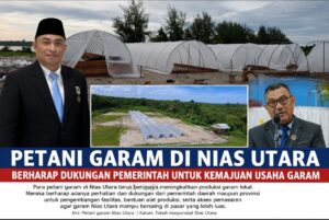 Koperasi Asio Permata Jaya Kembangkan Tambak Garam Sistem Tunnel di Nias Utara, Dorong Ekonomi Biru dan Kurangi Ketergantungan Impor